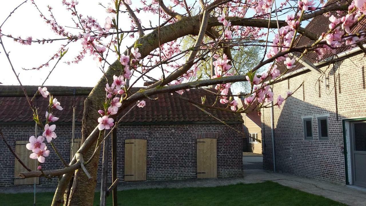 De Molenkreek Villa Sint-Margriete Exterior photo